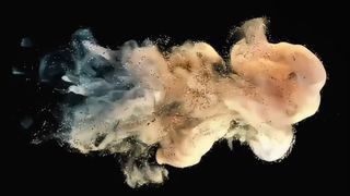 ই-স্টুডিওর জন্য তোশিবা ডেভেলপার পাউডার D5070 500g